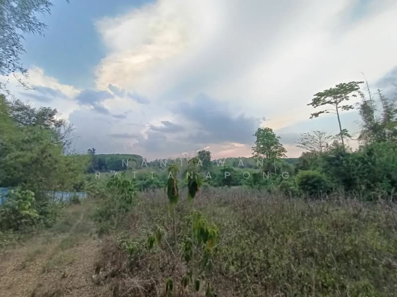 Land for sale next to Phahon Yothin rd. (Main road no. 106) Li, Lamphun, Lamphun