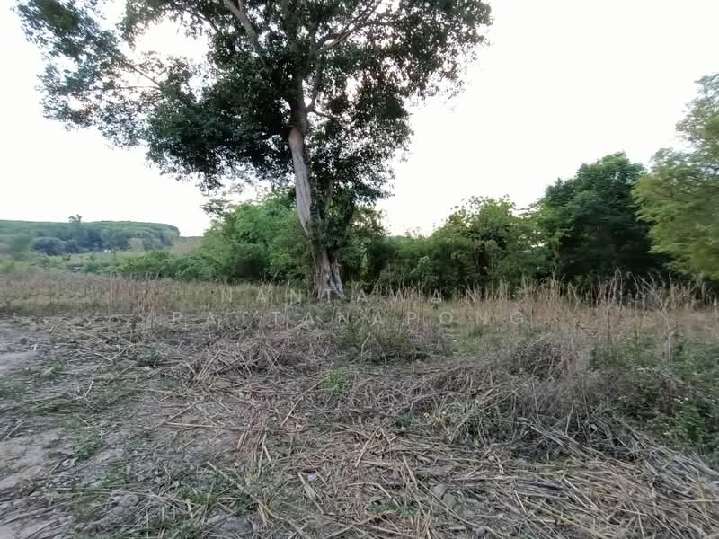 Land for sale next to Phahon Yothin rd. (Main road no. 106) Li, Lamphun, Lamphun