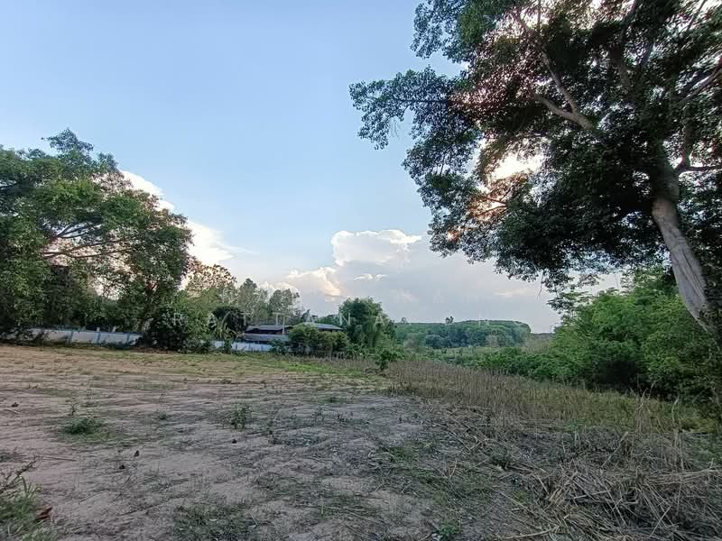 Land for sale next to Phahon Yothin rd. (Main road no. 106) Li, Lamphun, Lamphun