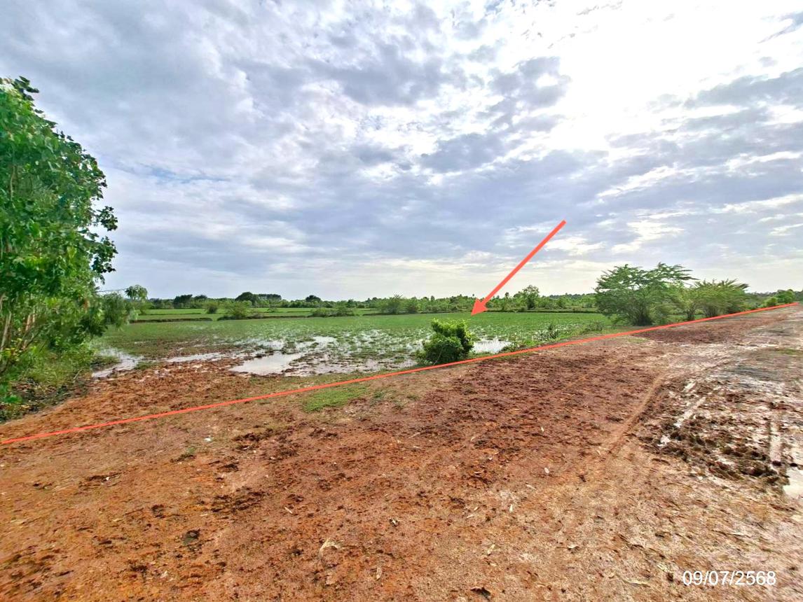 Empty Land in Sri Songkhram, Nakhon Phanom
