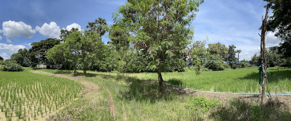ที่ดินเปล่า เชียงใหม่