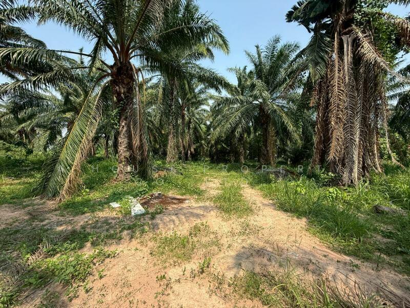 Land for sale in Khao Khan Song, Sriracha, near Road 331, Chon Buri (Pattaya)