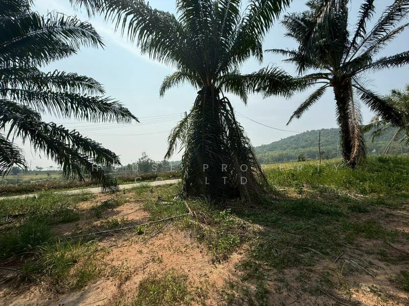 Land for sale in Khao Khan Song, Sriracha, near Road 331, Chon Buri (Pattaya)