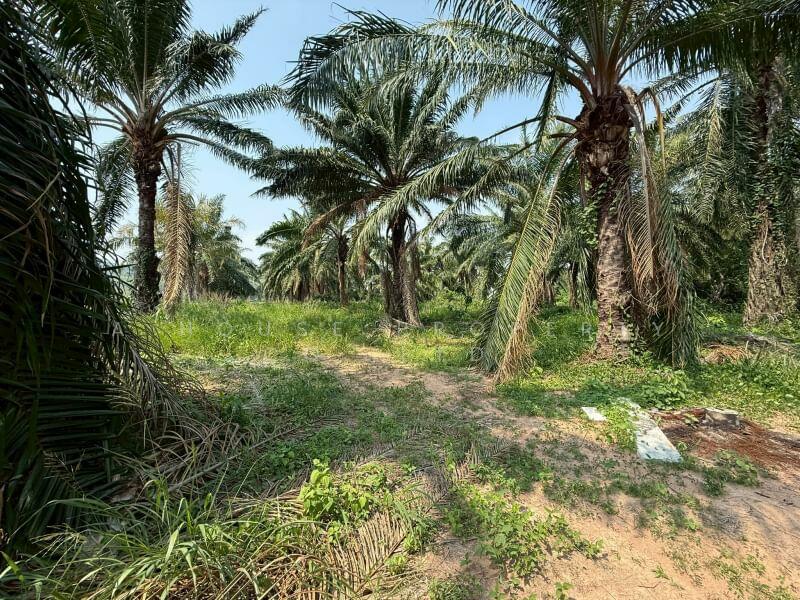 Land for sale in Khao Khan Song, Sriracha, near Road 331, Chon Buri (Pattaya)