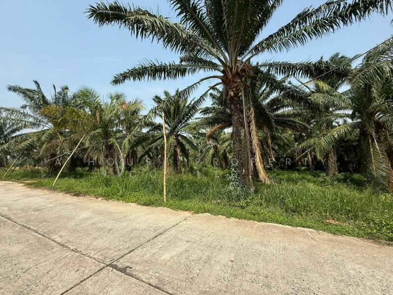 Land for sale in Khao Khan Song, Sriracha, near Road 331, Chon Buri (Pattaya)