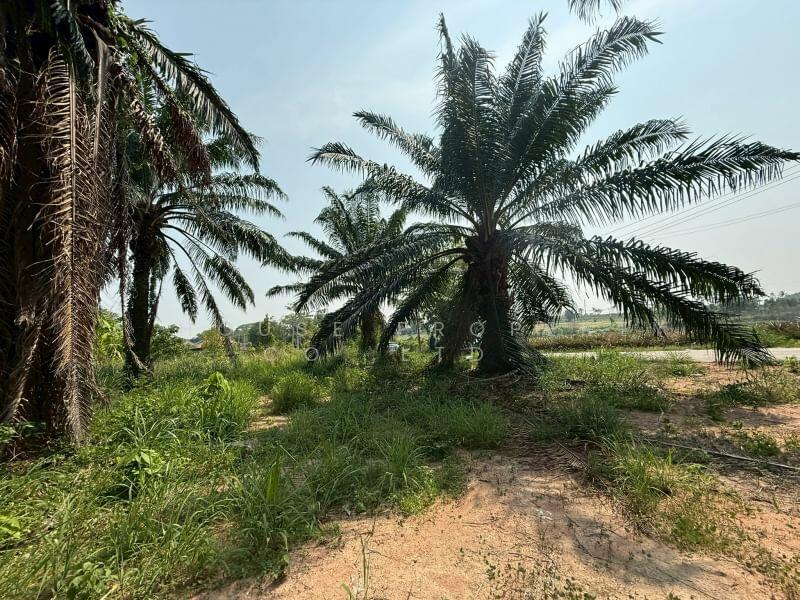 Land for sale in Khao Khan Song, Sriracha, near Road 331, Chon Buri (Pattaya)