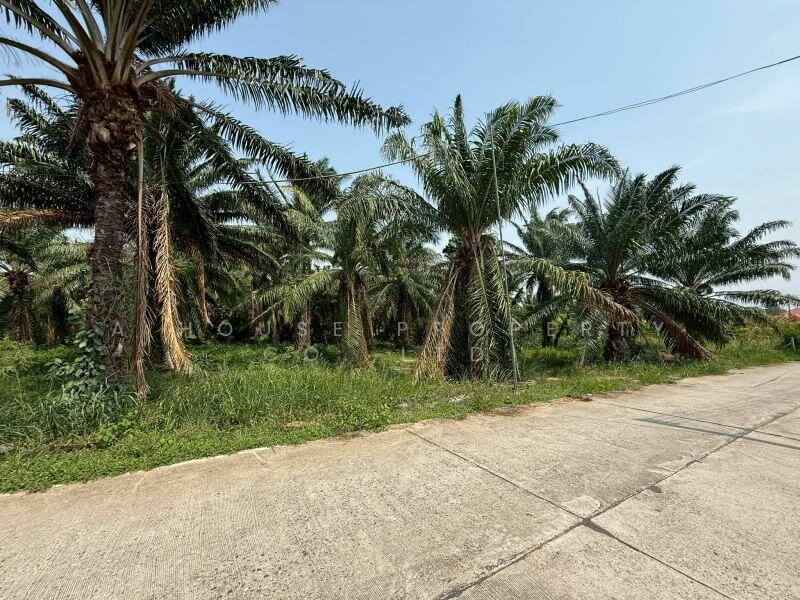 Land for sale in Khao Khan Song, Sriracha, near Road 331, Chon Buri (Pattaya)