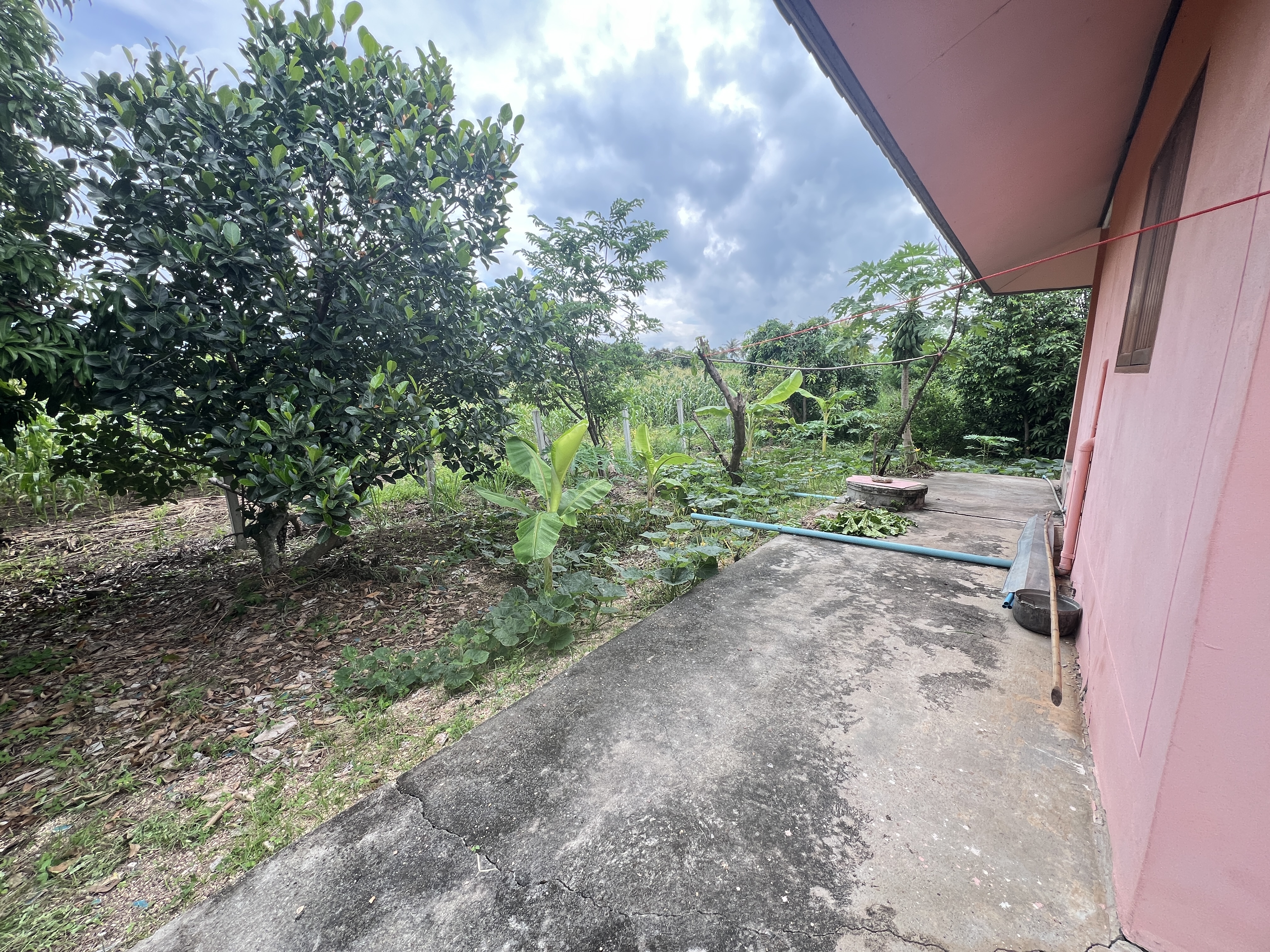 บ้านเดี่ยว โครงการบ้านใหม่สามัคคี