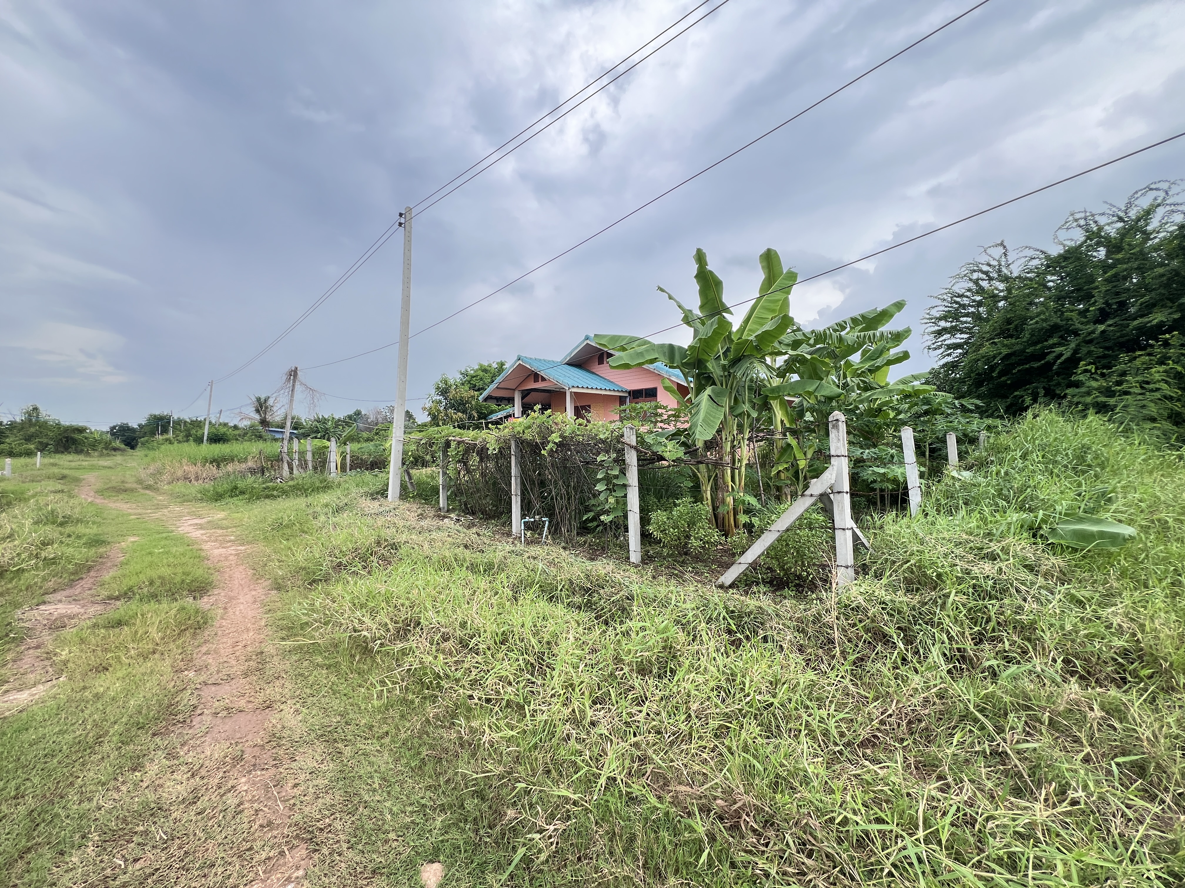 บ้านเดี่ยว โครงการบ้านใหม่สามัคคี