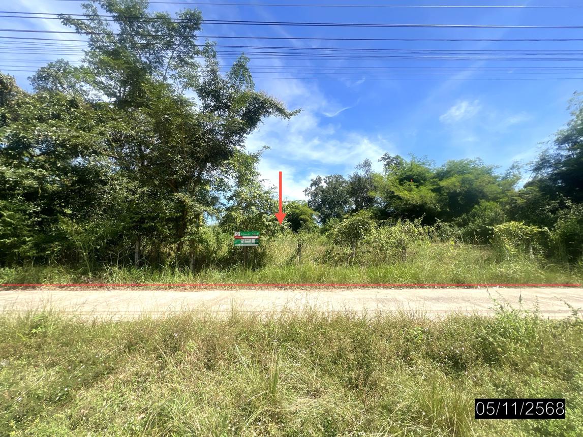 Empty Land for Sale in Ubon Ratchathani, Ubon Ratchathani