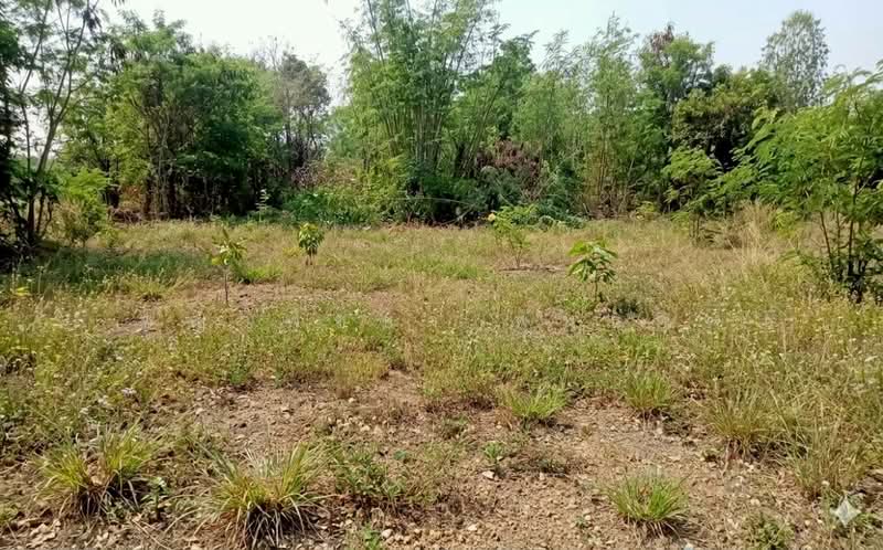 วัดจันทร์, Phitsanulok