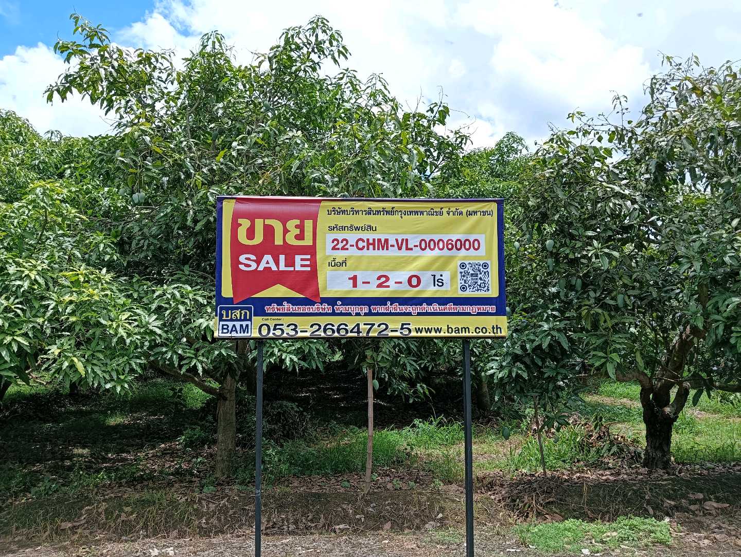 ที่ดินเปล่า โครงการริมปิง อิงดอย เชียงใหม่