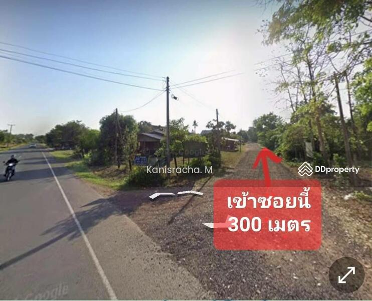 ขายที่ดิน 5-0-81ไร่ อำเภอประสาท สุรินทร์  ใกล้ชุมชน, Surin