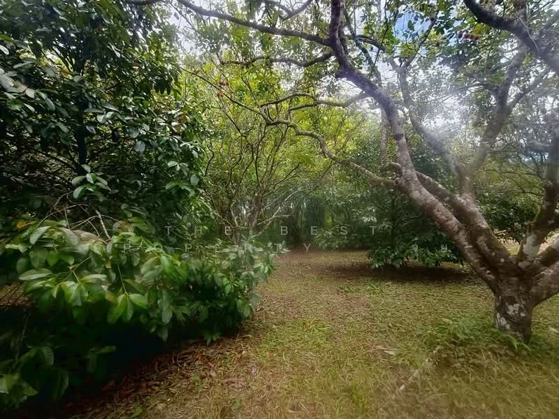 ที่ดินเขาคิชฌกูฏ จันทบุรี, Chanthaburi