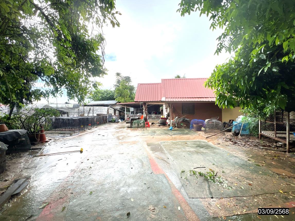 Single-Family House in Sam Sung, Khon Kaen