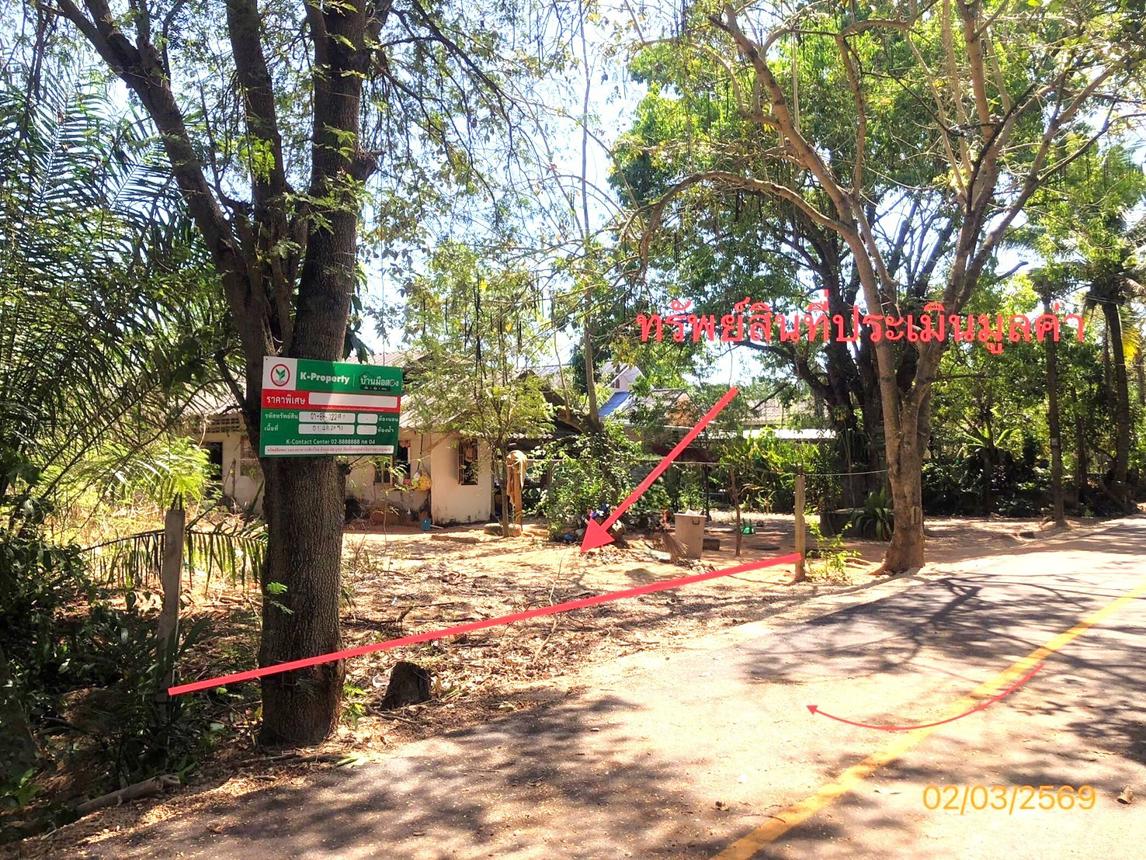 Vacant Land for Sale in Surat Thani City, Surat Thani Province