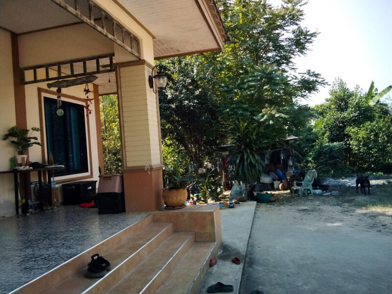 นอกโครงการกำแพงเพชร, Kamphaeng Phet
