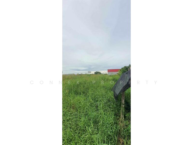 Vacant land in front of Thai Watsadu, Siri Sothon Road ที่ดินเปล่า หน้าห้างไทวัสดุ สิริโสธร, Chachoengsao