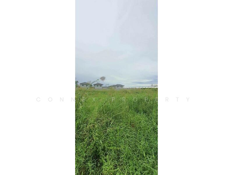 Vacant land in front of Thai Watsadu, Siri Sothon Road ที่ดินเปล่า หน้าห้างไทวัสดุ สิริโสธร, Chachoengsao