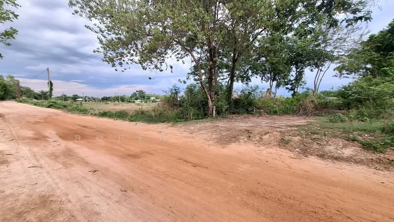 ที่ดินโพนทอง ร้อยเอ็ด, Roi Et