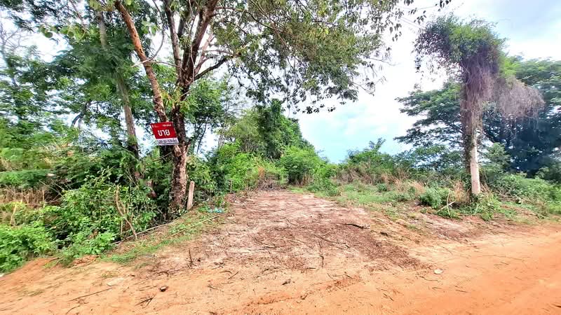 ที่ดินโพนทอง ร้อยเอ็ด, Roi Et
