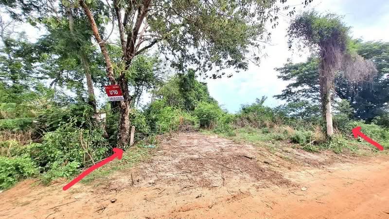 ที่ดินโพนทอง ร้อยเอ็ด, Roi Et