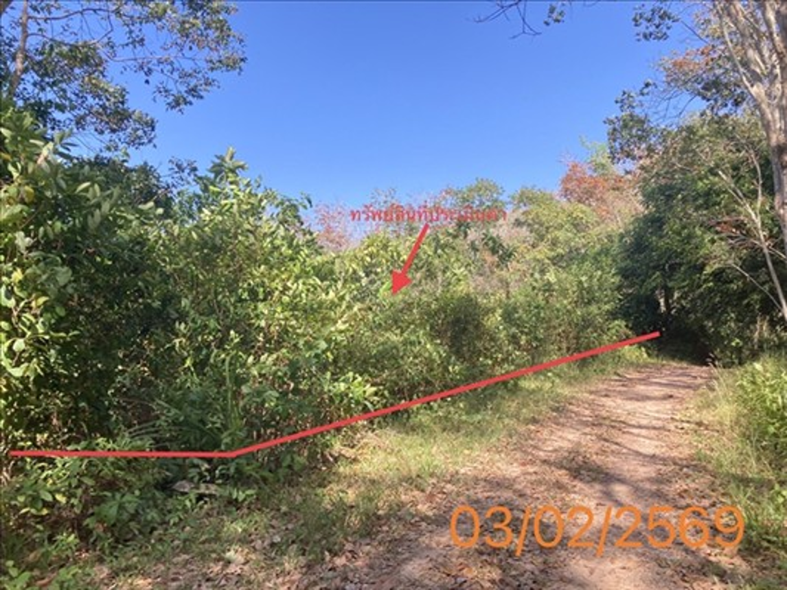 Vacant land, Koh Yaw, Phang Nga Province
