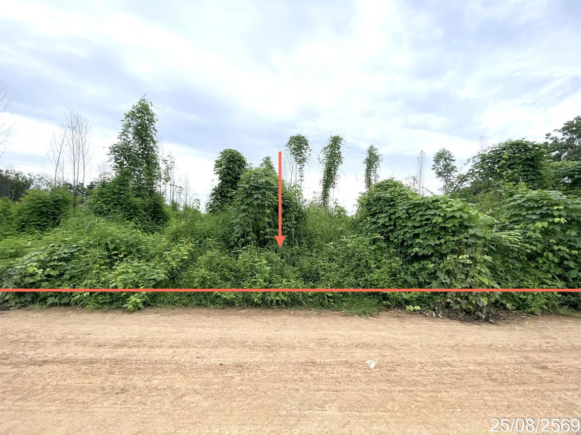 ที่ดินว่างเปล่า หนองไผ่ เพชรบูรณ์