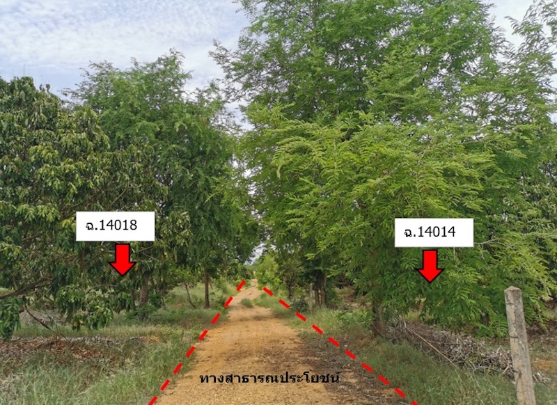 ที่ดินเปล่า โครงการบ้านหนองห่าย เชียงใหม่