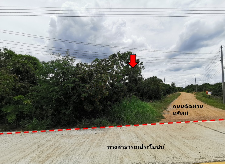 ที่ดินเปล่า โครงการบ้านหนองห่าย เชียงใหม่