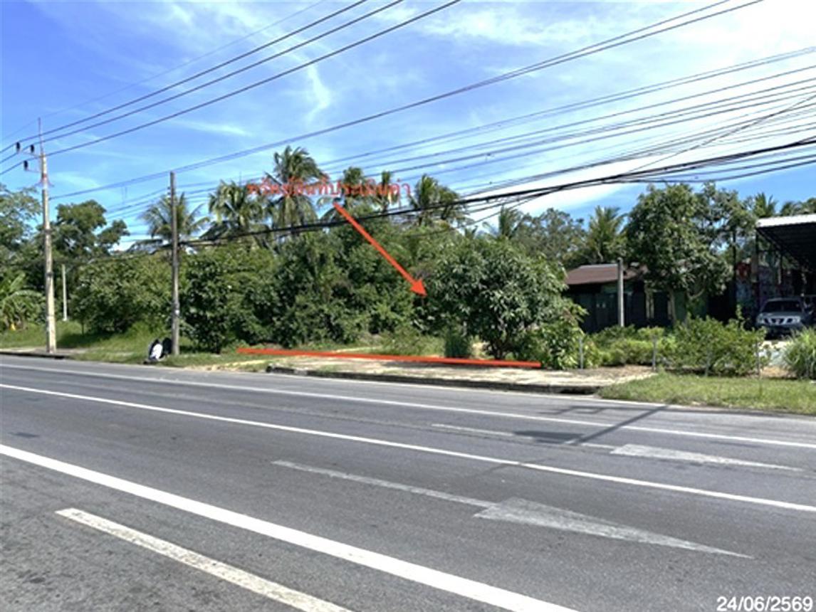 Empty Land for Sale in Ratphum, Songkhla