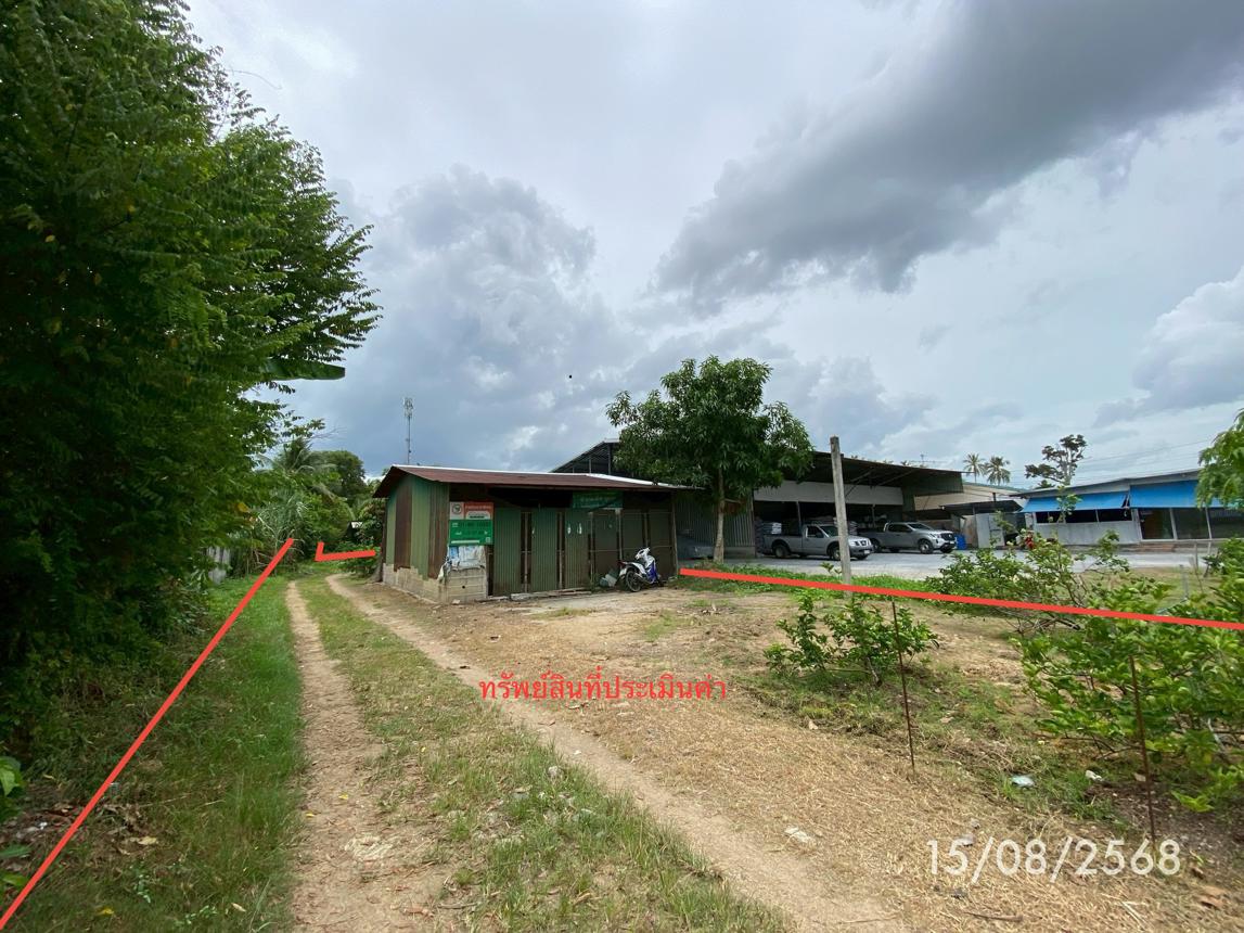 Empty Land for Sale in Ratphum, Songkhla