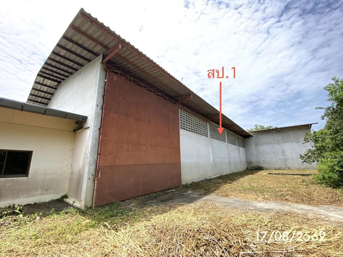 Industrial Building, Thepha, Songkhla
