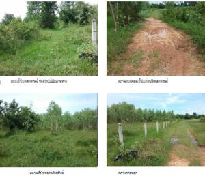 Vacant Land in Sakon Nakhon City, Sakon Nakhon Province