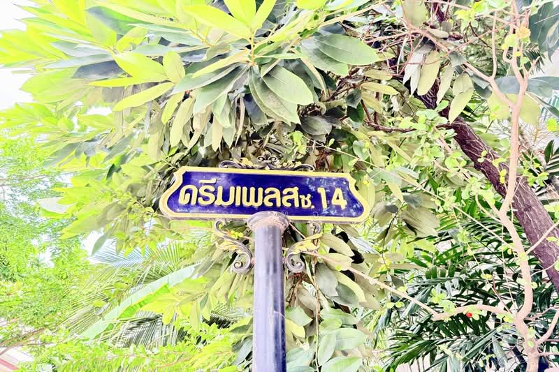 Dream Place, Nonthaburi