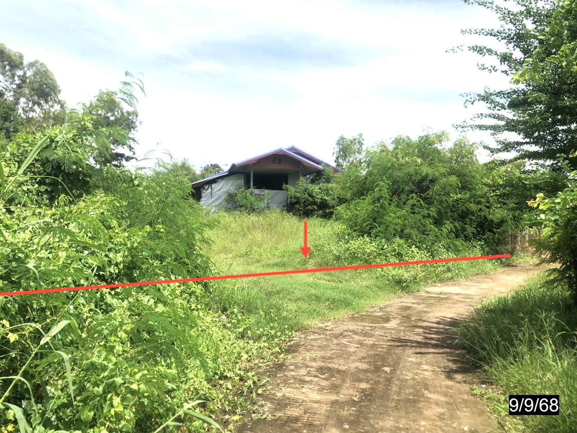 Single-Family House in Phu Khiao, Chaiyaphum