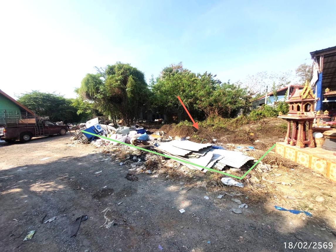 Empty Land for Sale in Chainat, Chainat Province