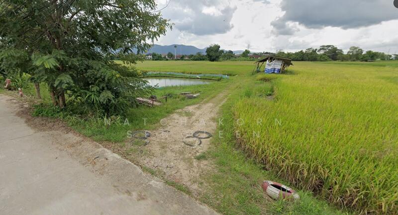 Land for sale, 31 rai 317 square wa, Soi Sena, Road 1020, Tha Sai, Mueang, Chiang Rai., Chiang Rai