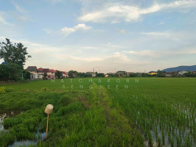 Land for sale, 31 rai 317 square wa, Soi Sena, Road 1020, Tha Sai, Mueang, Chiang Rai., Chiang Rai