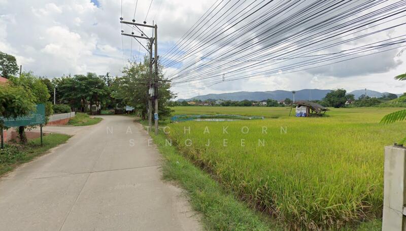 Land for sale, 31 rai 317 square wa, Soi Sena, Road 1020, Tha Sai, Mueang, Chiang Rai., Chiang Rai