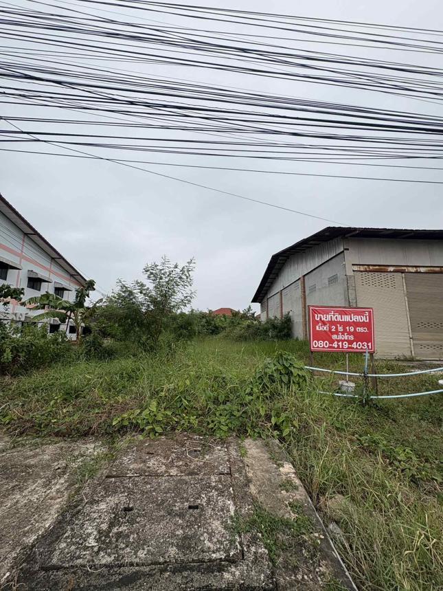 Vacant Land for Sale in Bueng Kan Province, Bueng Kan