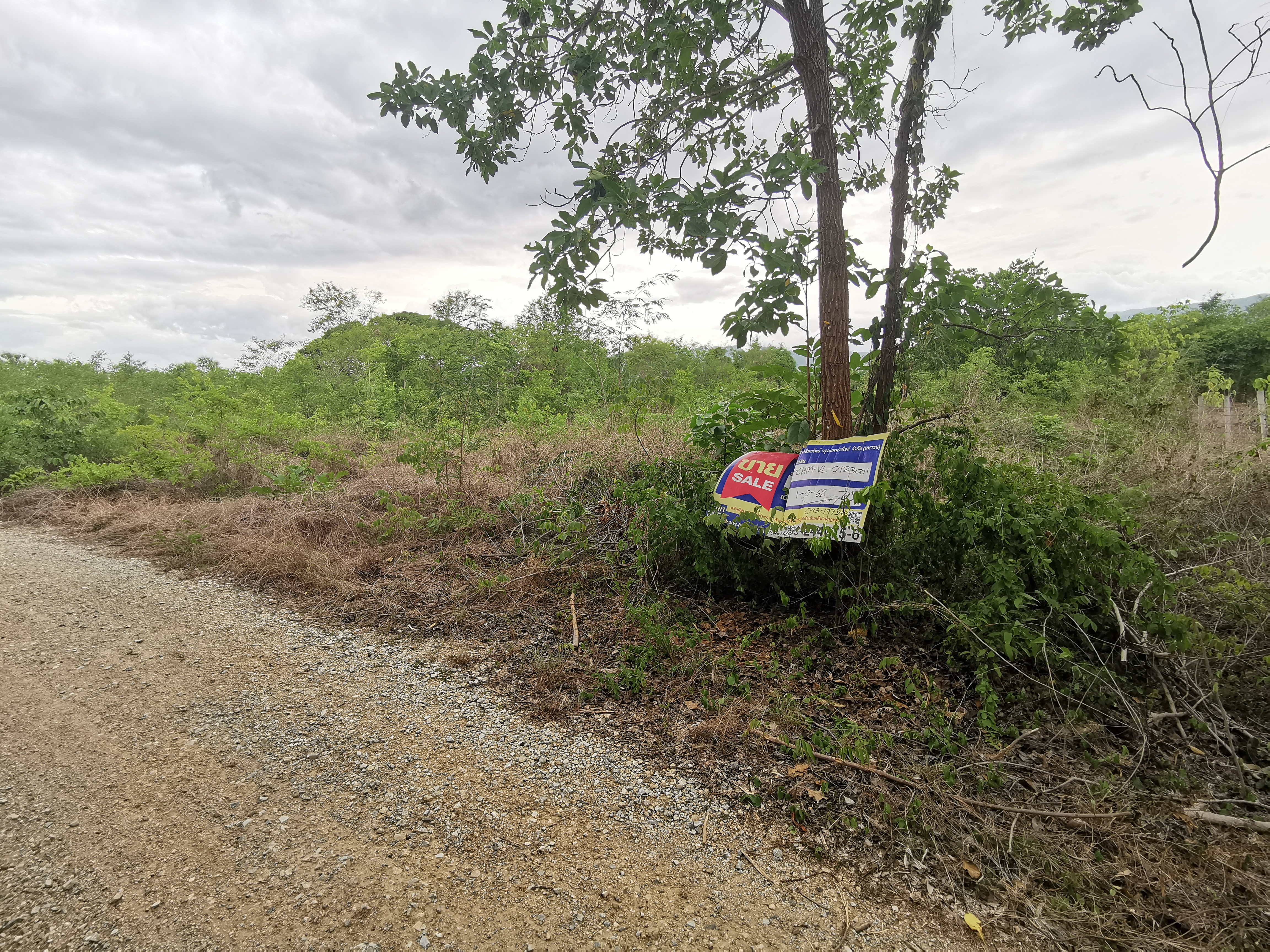 Empty land, Chom Thong Highland Farm Project, Chiang Mai