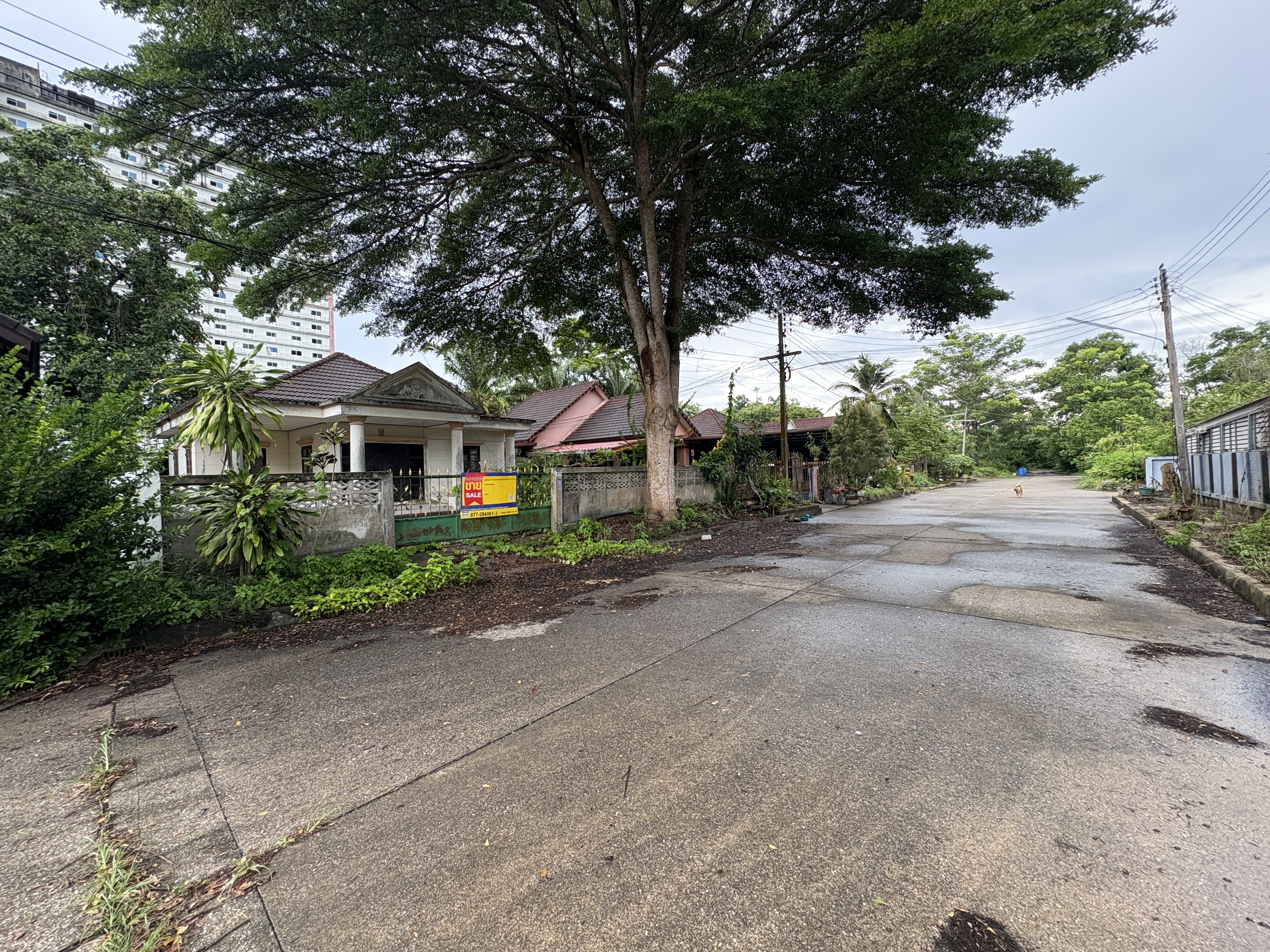 บ้านเดี่ยว โครงการคันทรีปาร์ค