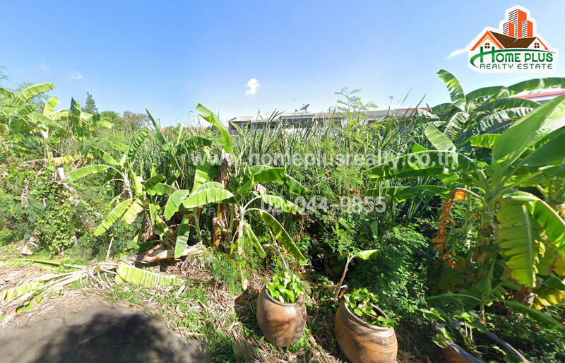 ที่ดินอำเภอสามโคก ปทุมธานี, Pathum Thani