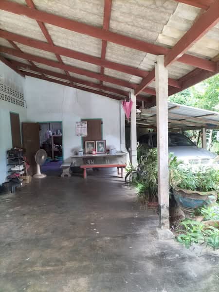 นอกโครงการพังงา, Phangnga
