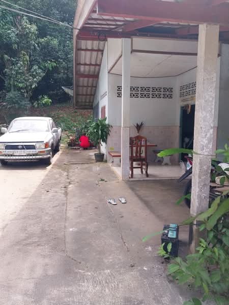 นอกโครงการพังงา, Phangnga