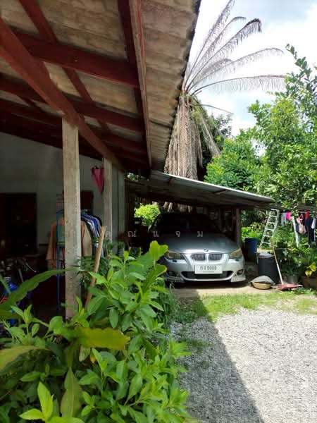 นอกโครงการพังงา, Phangnga