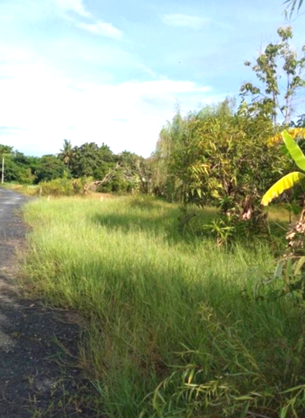 Empty land for sale in Hang Dong, Chiang Mai.