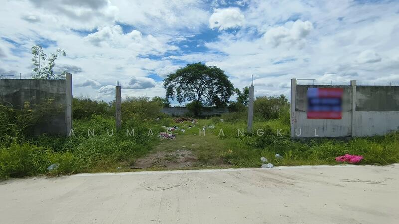 ขายด่วน ที่ดินติดถนนสาธารณะ คสล.หน้ากว้างมาก, Pathum Thani