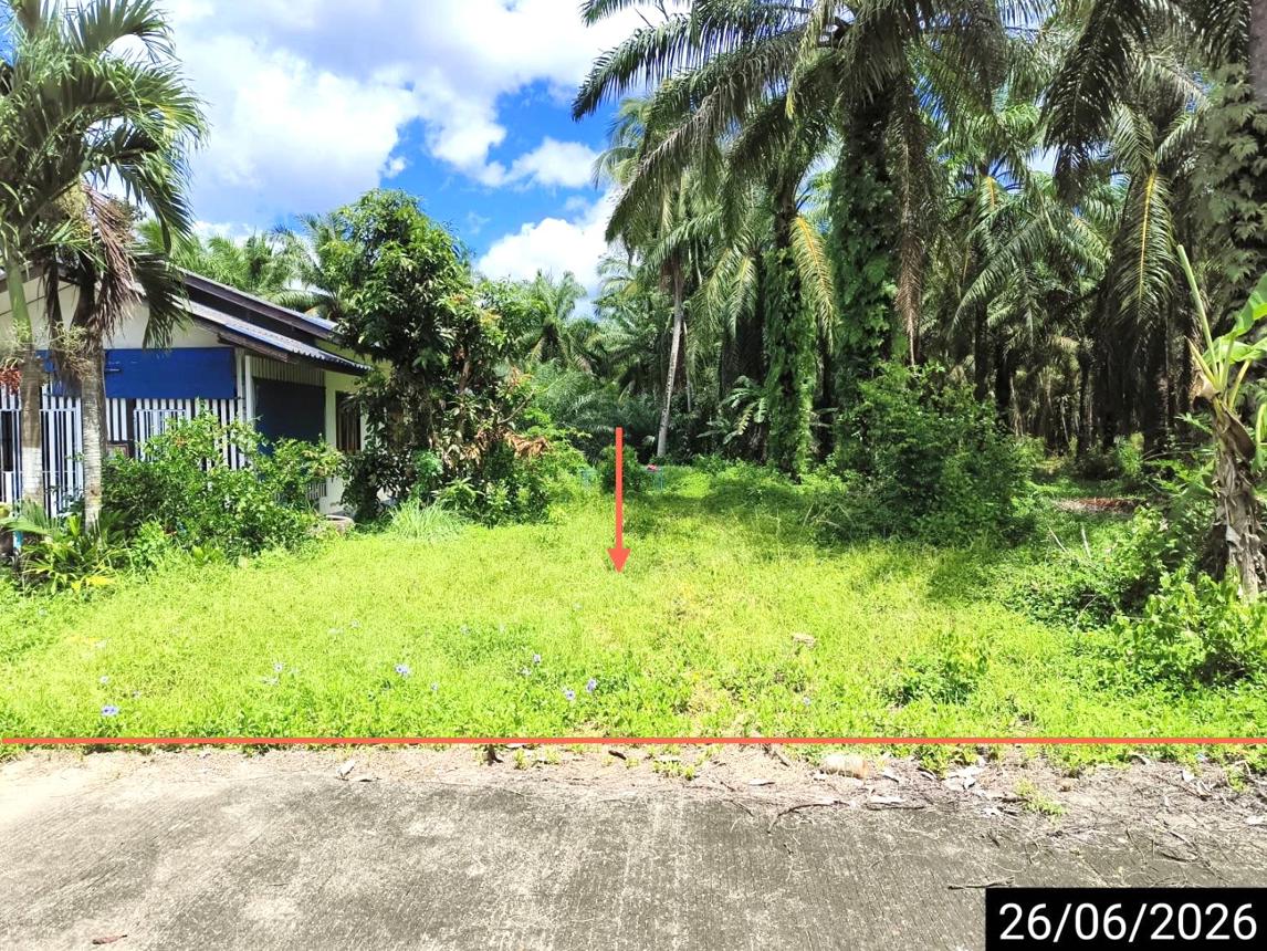 Vacant Land in Chaiya, Surat Thani